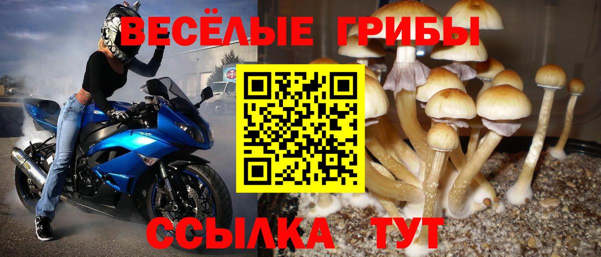Галлюциногенные грибы ЛСД  Вход с VPN  Гусь-Хрустальный 